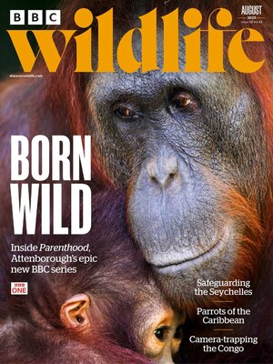 BBC Wildlife Magazine - Magazine